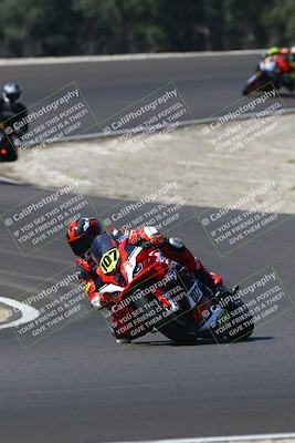 media/Sep-21-2025-TrackDaz (Sun) [[277c75b276]]/A Group/11am (Turn 3)/